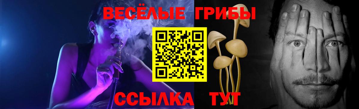 Псилоцибиновые грибы прущие грибы  Вход с VPN  Галлюциногенные грибы Psilocybe  Кушва 