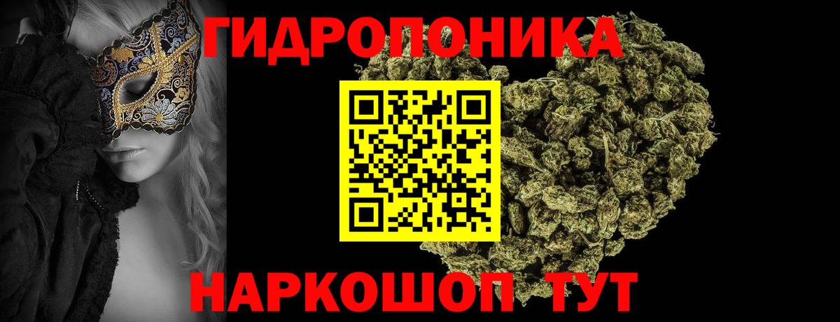 Конопля ГИДРОПОН  Конопля Bruce Banner  Кушва  МАРИХУАНА VHQ  МАРИХУАНА ГИДРОПОН  Вход с VPN 